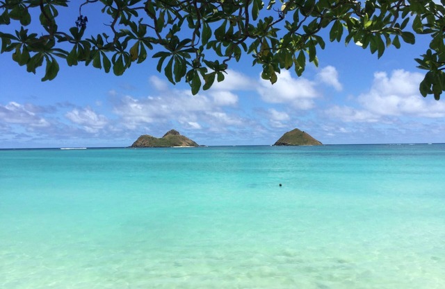 OCEANFRONT LANIKAI BEACH ESTATE