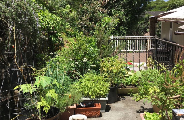 Ohana Home TA-174-591-3856-01 TMK 140010570000