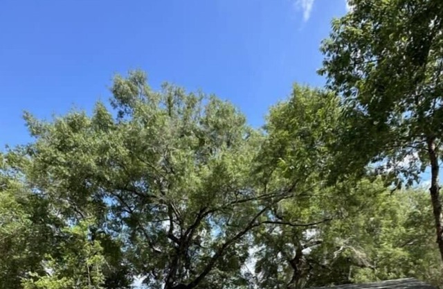 Old Glory at The Tree'Ke Resort - Cabin #1