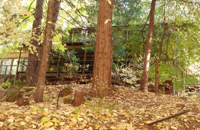 Old School Fun At Lake Mont Pines Creekside Cabin