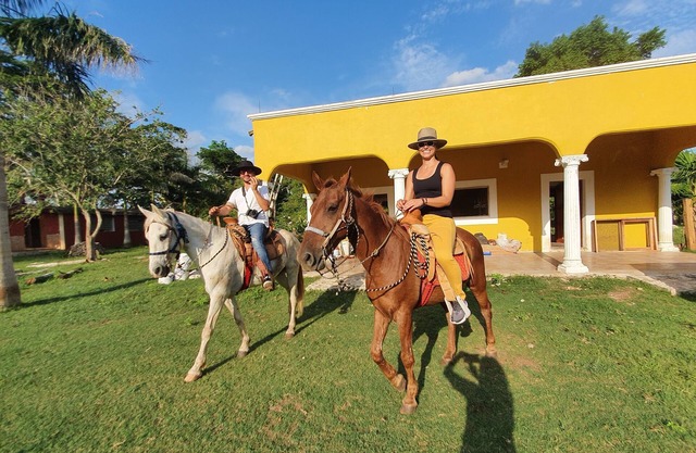Old yucateca hacienda with private cenotes and horses included, animals allowed
