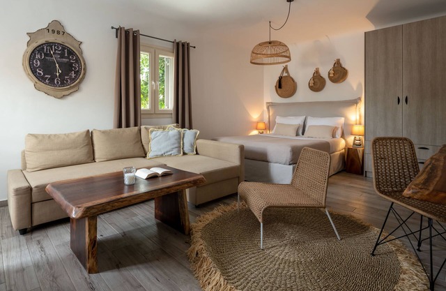 Olive Mykonos Villas - Junior Villa