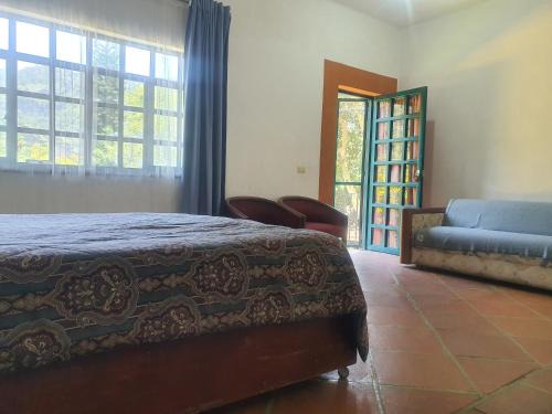 Ollin Calli Hostal-Temazcal