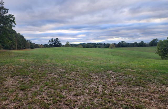 Open Field for camping and star gazing. No amenities or services are provided.