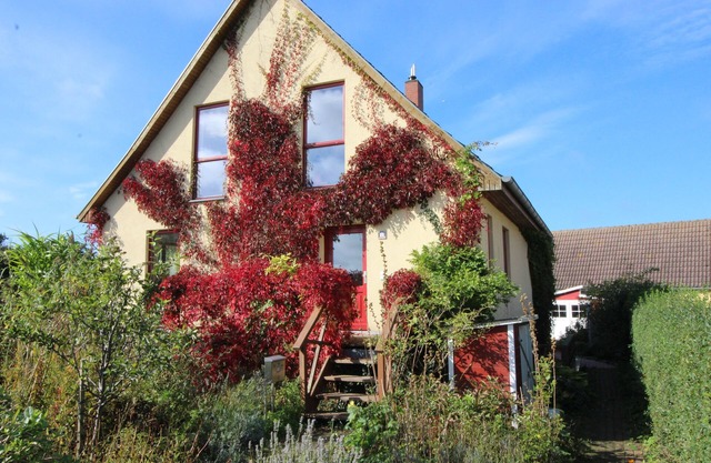 Organic vacation home, 3sleepR, 2 BathR, natural garden, sauna, WLAN, dogs allow