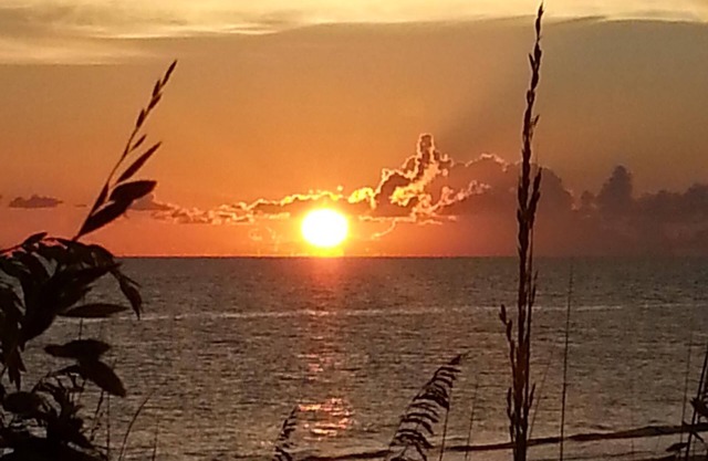 Our Little Island Dream Home with Ferry Included