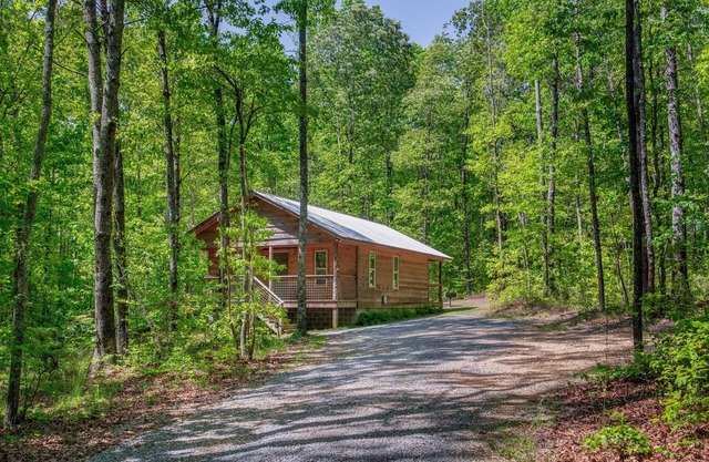 Owl's Nest: cozy getaway w/hot tub & fire pit