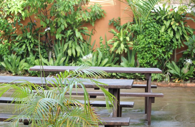 Pacific Paradise Motel