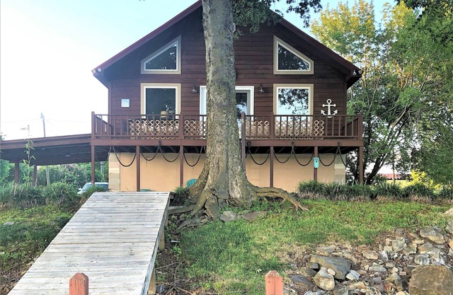 Paddlefish on the Tennessee River