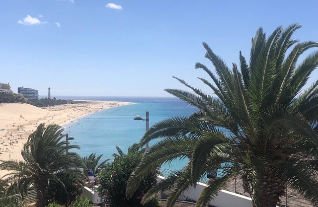 Palm Garden Jandía By CanariasGetaway