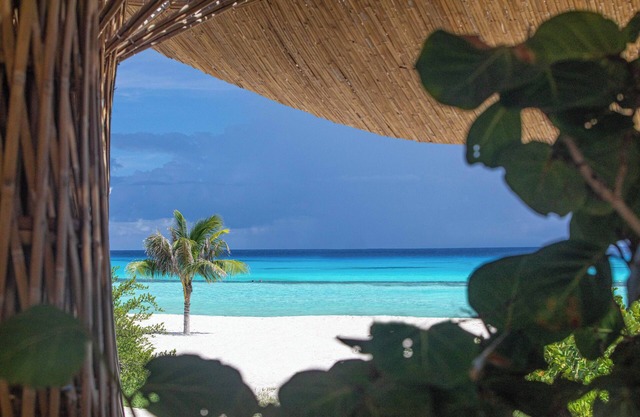 Palmaïa-The House of AïA: All Inclusive Wellness Resort