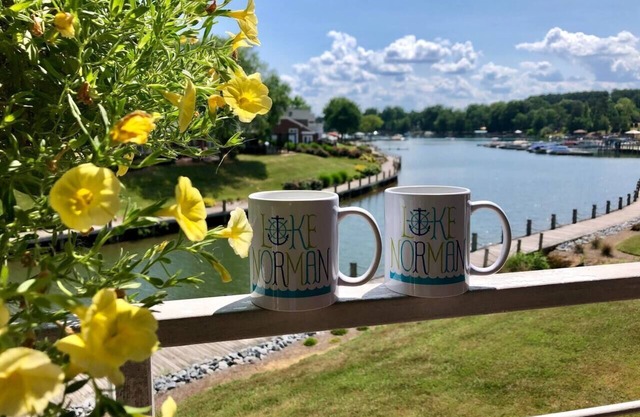Paradise Found on LKN Waterfront - Lake view Condo - Lake Norman Vacation Rental