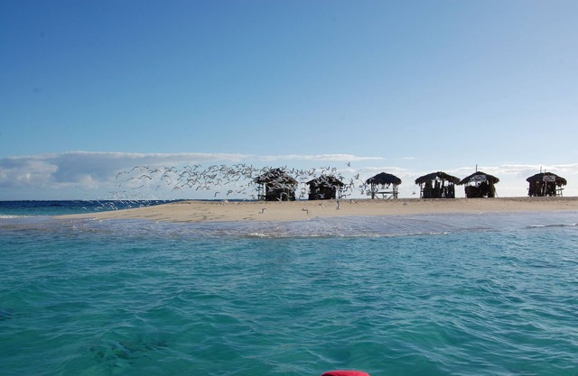 Paradise Island Beach Resort