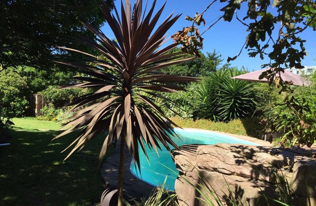 Paradise of the Soul