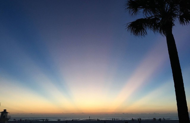 Paradise on the beach in an oceanfront, luxury condo.n -Discounted 10% Aug-Sept!
