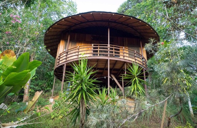 Paradiselodge Jungleguesthouse