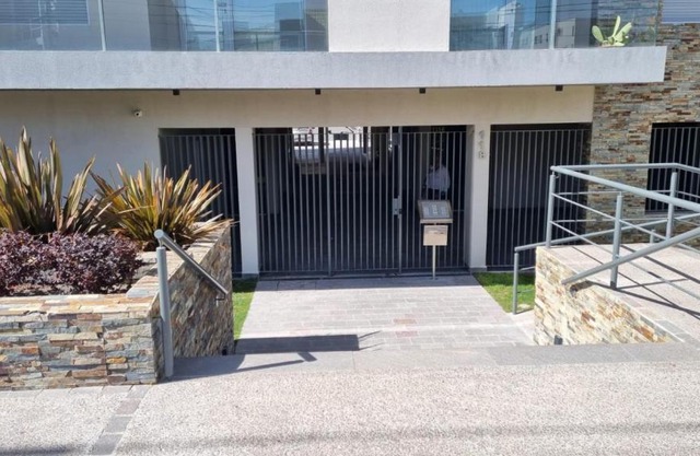 Pardelas playa y ballenas