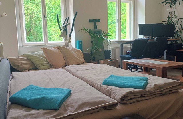 Park View - a digital Nomad's dream