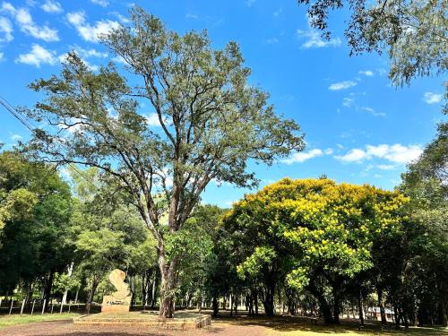 Parque Hotel Manantial