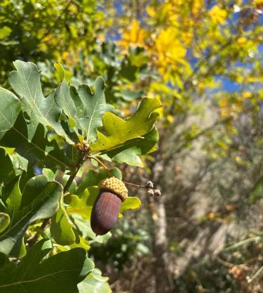 PataGO! - Calidez Patagonica