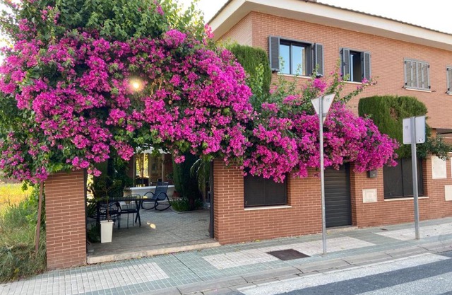 Paz y tranquilidad, a un paso de Sevilla