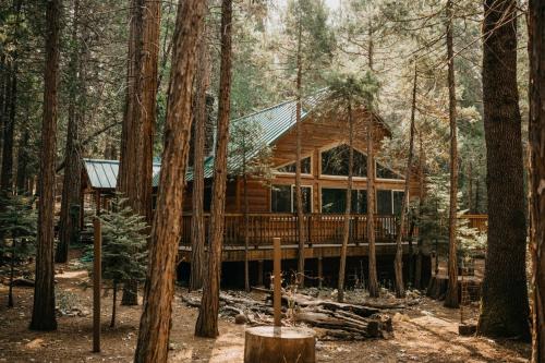 Peace of Mine - Cabin inside Yosemite! - Dog Friendly!