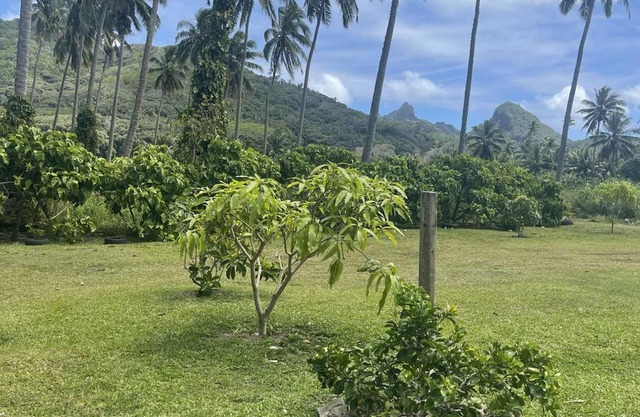 Peaceful 2-bedroom island retreat near beaches, cafés & shops; private & comfy