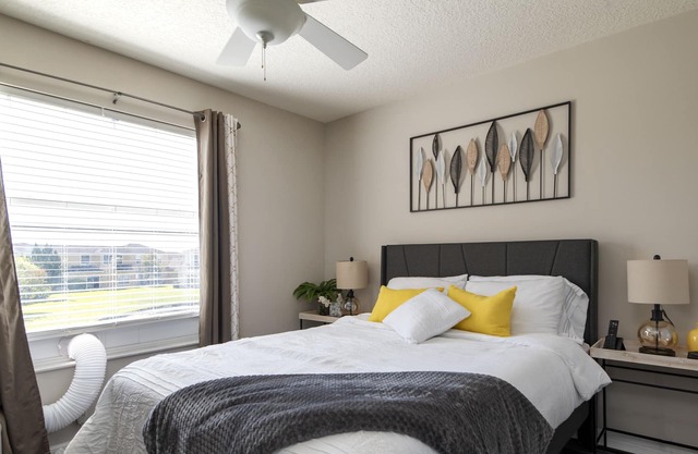 Peaceful and Pleasant in Tampa