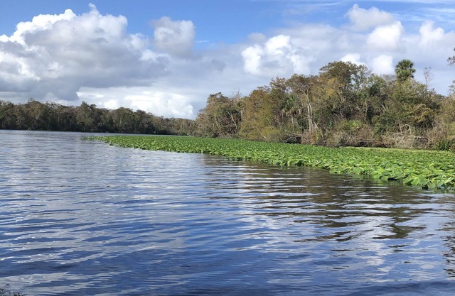 Peaceful and Quiet Getaway