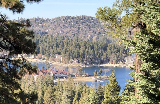 Peaceful Cozy Cabin Amongst the Trees with View of Lake Arrowhead
