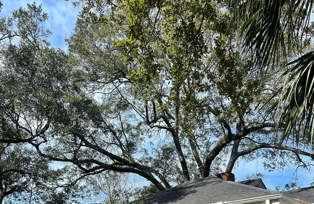 Peaceful downtown cottage in Historic Georgetown.