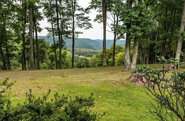 Peaceful Escape Ben Franklin Range 4-bedroom lodge in Kittanning, PA. Book now