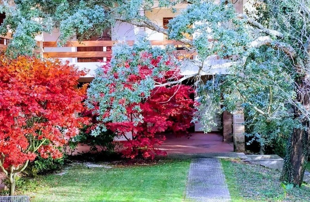 Peaceful Home and 10000 m²Private Park, near Barcelos and Viana do Castelo