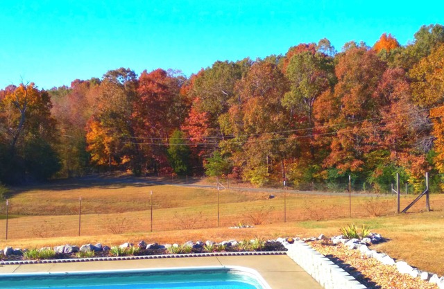 Peaceful Pastures - Secluded Couple's Retreat
