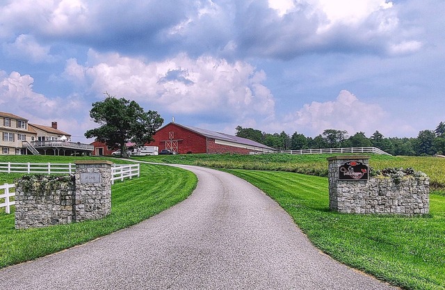 Peaceful Studio on Horse Farm - Hike, Relax, Explore!