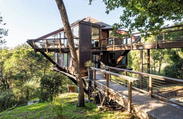 Peaceful Treehouse with Ocean View