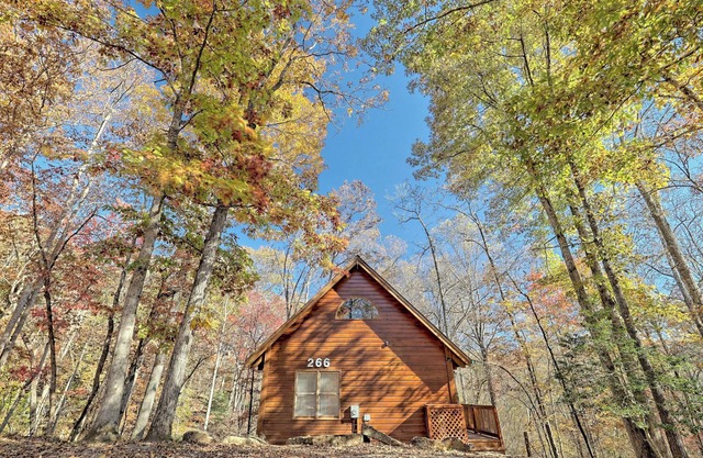 Peaceful Waters Ridge on the Soque River