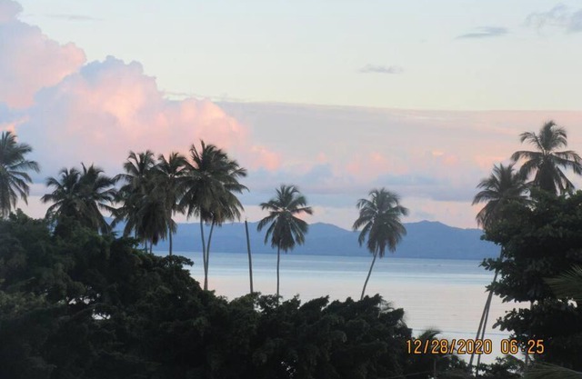 Pelicano Tropical Paraiso Samana