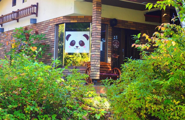 Pension Snowfall Meteor