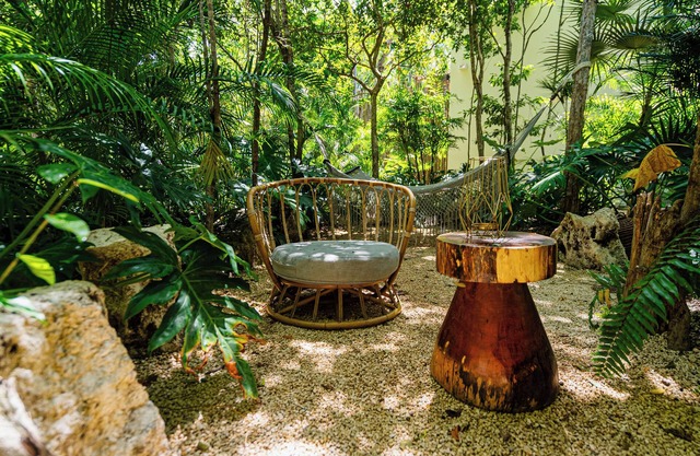 Penthouse with private jungle, pool, jungle gym, downtown close to beach