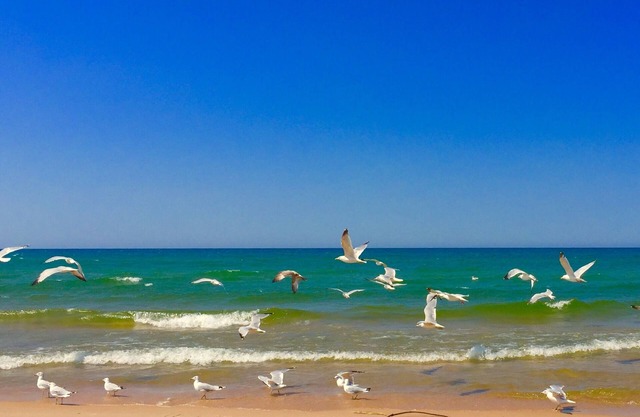 Pentwater/Lake Michigan/Silver lake rental