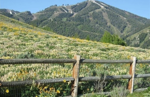 Perfect Sun Valley House: Walk to SV Lodge & Included Amenities - Amazing Views