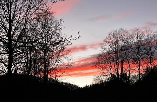 Pet Friendly Blue Ridge Mountain Cabin on the Toccoa River