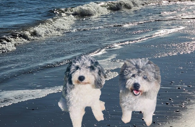 Pet Friendly-extra charge. Clean & Cozy 2 bdrm, 2.5 bath home,2 blocks to beach.