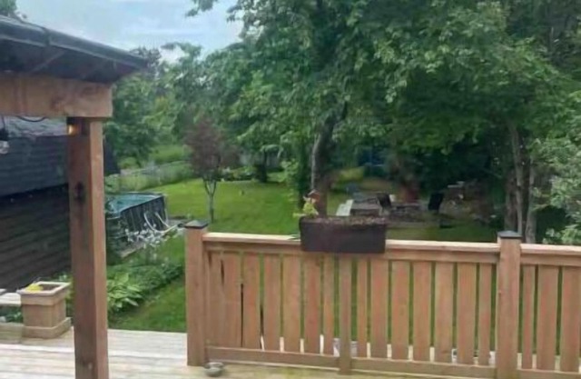 Pet-Friendly Paradise with Hot Tub & More!