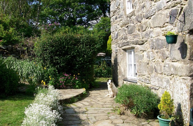 Pet Friendly Self Catering Holiday, Harlech, Snowdonia.