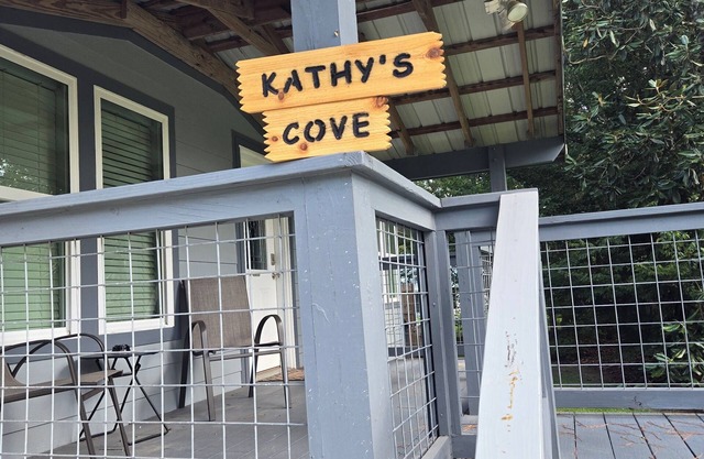 Pet friendlynKayak with the manatees