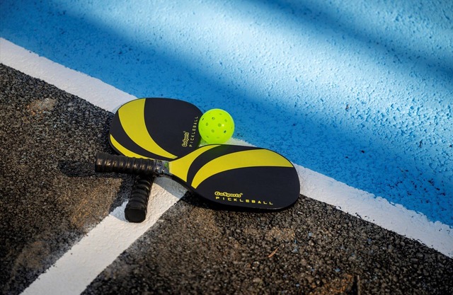 Pickleball and Basketball Court Modern Cabin Sleeps 24 Soccer Pools Badmitton