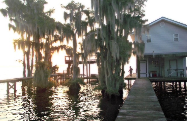 Pierre Part, Louisiana