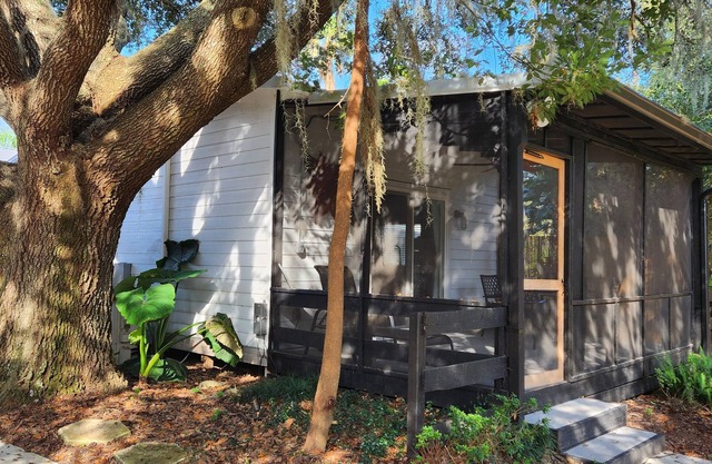 Pine Forest Studio, serene winding lane to cozy retreat.